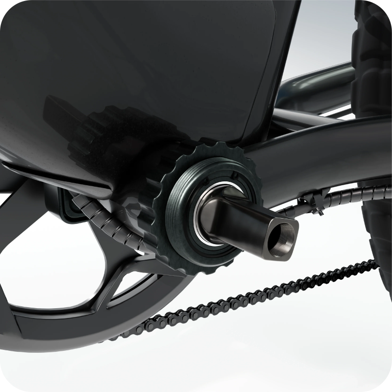 Torque Sensor