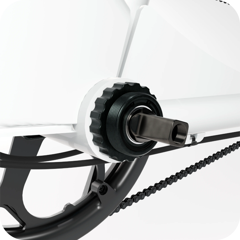 Torque Sensor